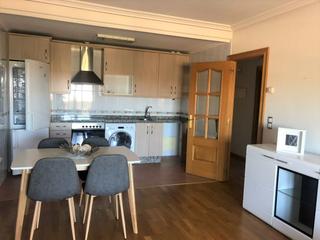 Miete Appartement in Pizarrales. Apartamento en alquiler en prolong. avda. portugal, 1 dormitorio