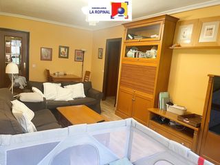 Piso  Avenida alfonso ix de león. Amplia vivienda en alfonso ix de león