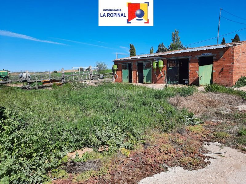 Foto dddd6b22-a954-4106-bb5e-bd0d6dca51c7. Terreno residenziale in Cañizal