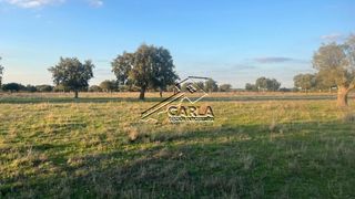 Rural plot in Carrascal del Obispo. Finca en venta en carrascal del obispo salamanca