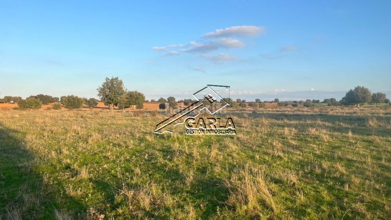 Foto ef35fac3-03b3-4777-8d0b-23377e13ed84. Finca rústica a Carrascal del Obispo
