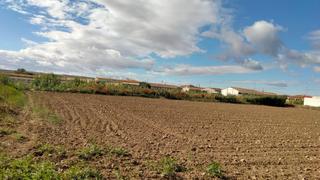 Terreny residencial  La barca. Suelo urbano en gelsa