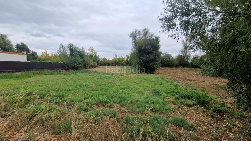 Foto ab4bf0c6-f658-4297-9bd2-30b95d5b502b. Terreny residencial a ruta jacobea 69 a Valverde de la Virgen