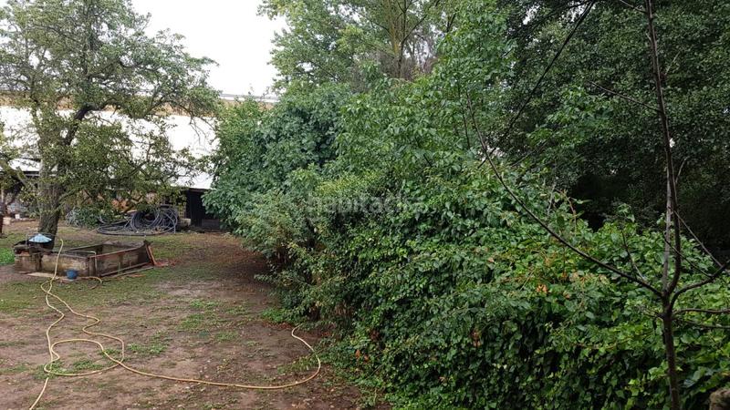 Foto 38a7a3cc-7a2f-42a7-bb4f-1ec49041d2f7. Building in Armunia León