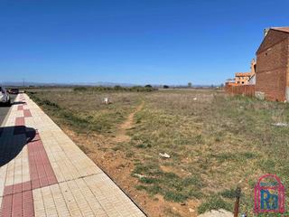 Terreny residencial  Avenida de javier pascual. Solar de 600m² urbano directo. 30m de fachada. se permite planta