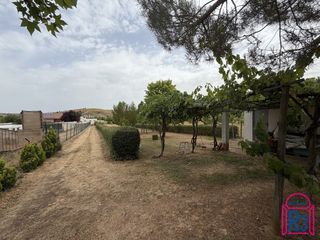 Finca rústica  De oncina. Se vende parcela en quintana de raneros