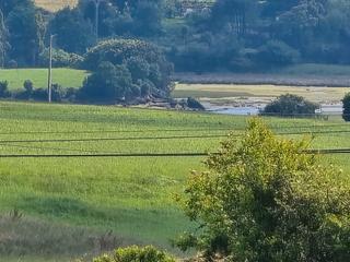 Finca rústica a Ajo