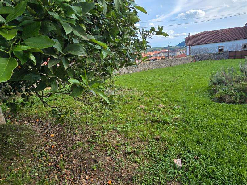 Foto 07e7f71d-daf3-4fc8-b9bd-dc1a94f7eabb. Mas dans barrio la peña 14 dans Ajo Bareyo