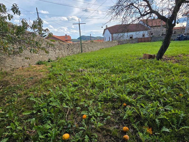 Foto 2d1db5f1-5f94-4dac-bc4d-520cc49eb392. Mas dans barrio la peña 14 dans Ajo Bareyo