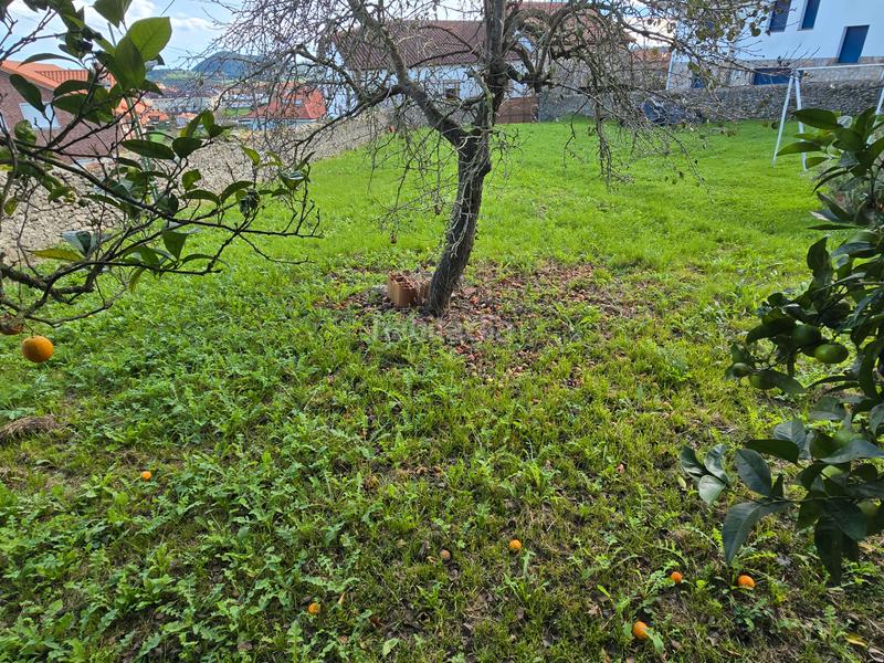 Foto cb492d29-effc-45d5-81f4-b7f38629118a. Mas dans barrio la peña 14 dans Ajo Bareyo