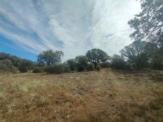 Residential Plot  Arrabal sarten pago