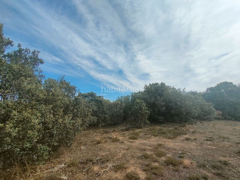 Foto 0d6e16e7-56a9-4e49-ab9b-5a7fadbb3f20. Terreno residenziale in Benavente