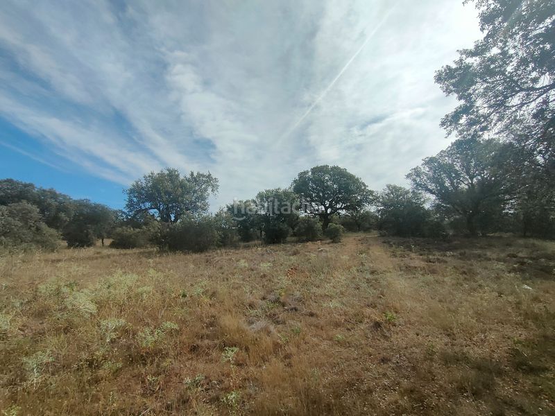 Foto 56300eed-232a-4f68-b495-a8584e1c648c. Terreno residenziale in Benavente