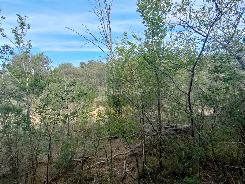 Foto e28aa6c9-312a-4827-a809-9e6a8567c180. Terreno residenziale in Benavente