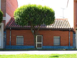 Casa a Calle de albar fañez minaya 24. Casa para reformar o terreno para construir