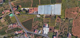 Chalet in Tacoronte - Los Naranjeros. Casa/chalet independiente en venta – la caridad, tacoronte