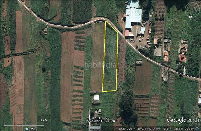 Foto 79489a0a-6332-40da-b2f4-4c716e3fbeda. Finca rústica a Campo de Golf - Agua García - Juan Fernández Tacoronte