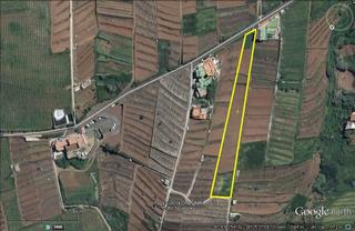 Landgut  Vial camino