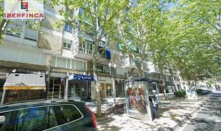 Pis a Paseo ZORRILLA