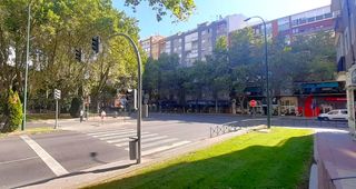 Pis a Paseo ZORRILLA