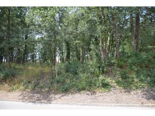 Wohngrundstück  Ramon llull. Terreny en venta en caldes de malavella