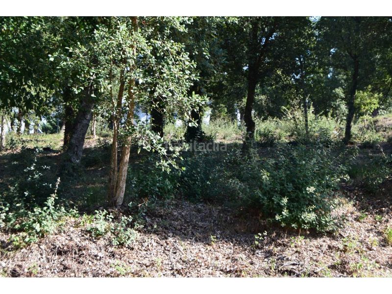 Foto a60da686-61a2-46e7-bdd8-f0f2a8d15ad7. Residential plot in Caldes de Malavella