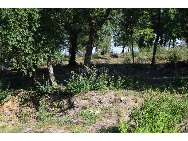 Foto cd9ce138-0729-4fc5-9ca1-5ad8a94a50f9. Residential plot in Caldes de Malavella