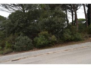 Finca rústica  Ribera d´ebre. Terreno en venta en caldes de malavella