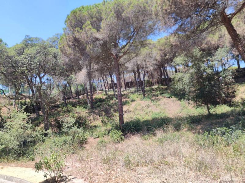 Foto 9861dcad-714e-41c7-a336-37fab83cb7f2. Residential plot in tortuga 21 in Montgoda Lloret de Mar