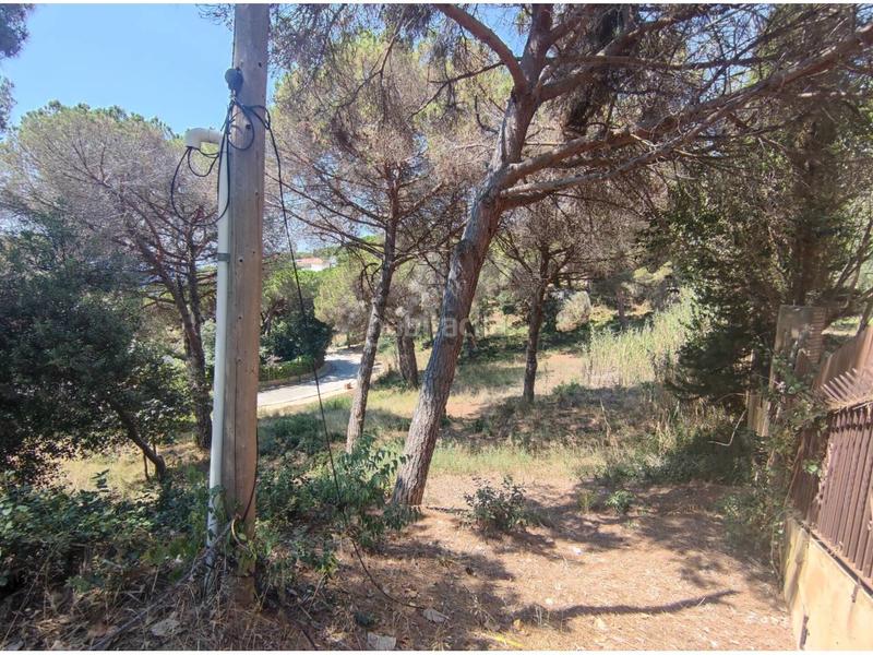 Foto 9b658449-abe2-4951-8b3c-367d8724f7a1. Residential plot in tortuga 21 in Montgoda Lloret de Mar