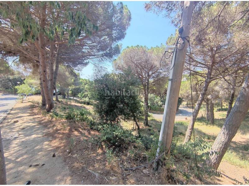 Foto a0c72e24-83f5-4bf8-a14a-04a93ca31c9e. Residential plot in tortuga 21 in Montgoda Lloret de Mar