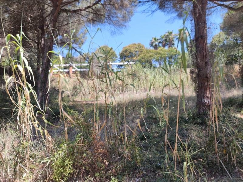 Foto efe79bc9-b4be-473e-bac3-9a9a9ea5c018. Residential plot in tortuga 21 in Montgoda Lloret de Mar