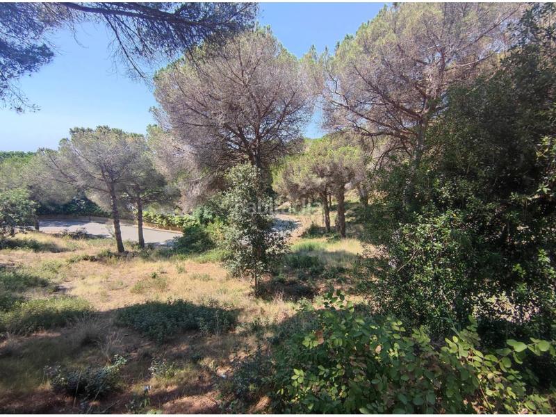 Foto f2391636-2934-4738-b273-2b6e9a2c6632. Residential plot in tortuga 21 in Montgoda Lloret de Mar