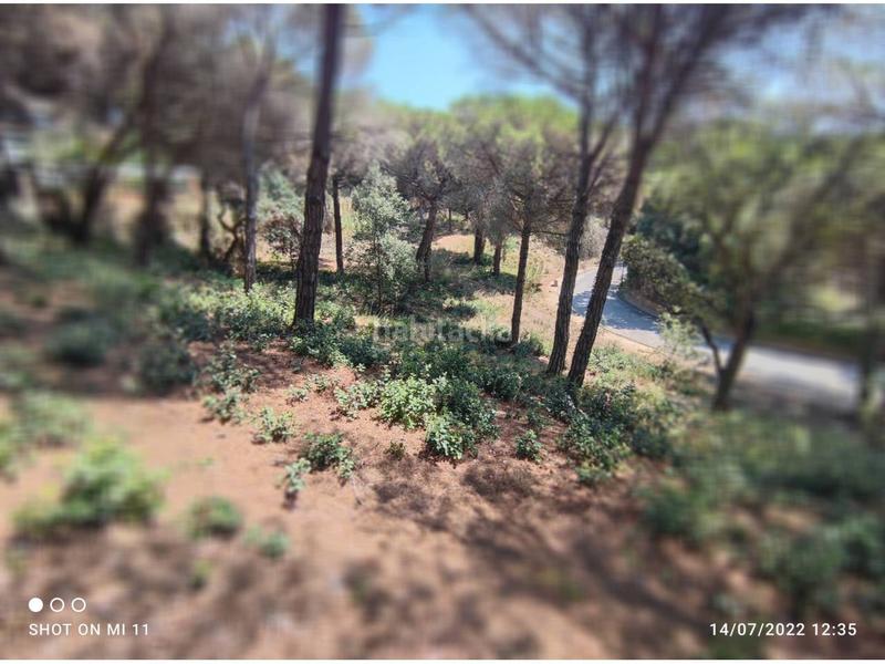 Foto fc44921a-c953-4087-b5ad-aedb8277de40. Residential plot in tortuga 21 in Montgoda Lloret de Mar