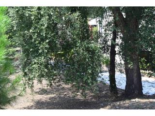 Terreny residencial  Garraf. Terreno en venta de 526m en aguas buenas