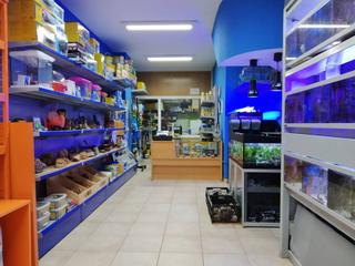 Local Comercial a Joan carles i 172. Local seminuevo en joan carles i