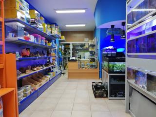 Alquiler Local Comercial en Joan carles i 172. Local seminuevo en joan carles i