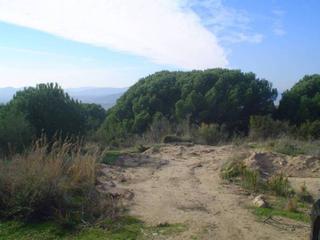 Propriété  Joan alcover. Terreno en venta