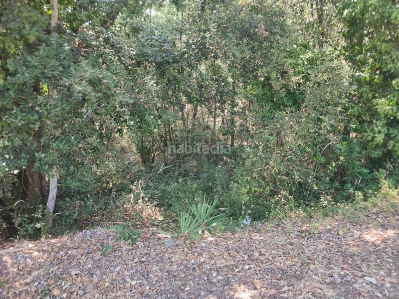 Foto 2ccc31e4-20b6-4b40-adec-b1d5655bd579. Terreny residencial a casanovas 111 a Caldes de Malavella