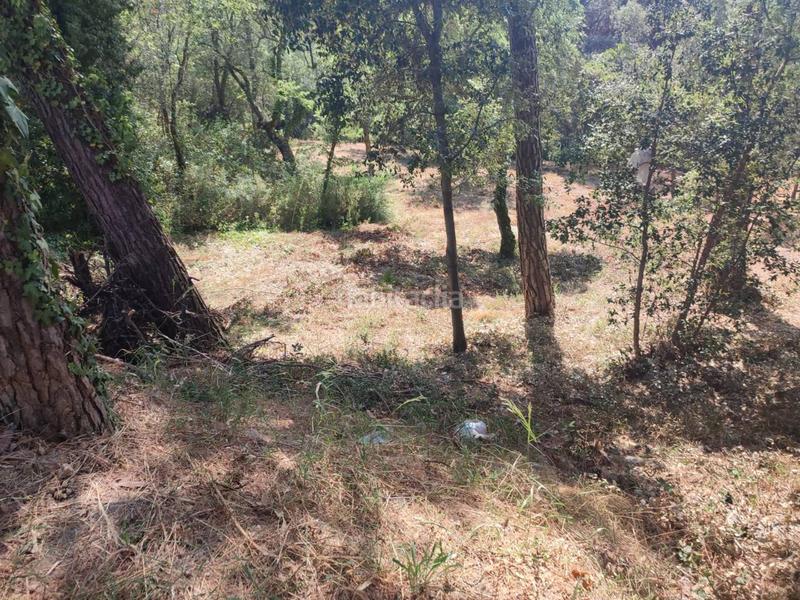 Foto 5acea7e8-aad4-4b4f-ad7b-6299725408a4. Terreny residencial a casanovas 111 a Caldes de Malavella