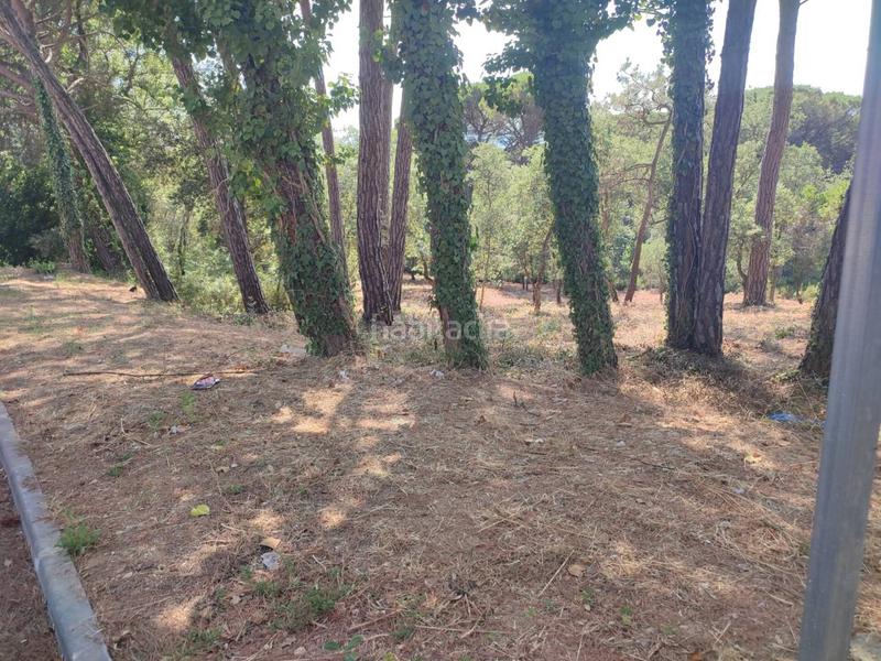 Foto 7199958b-f907-47e8-b407-a4924ad1d762. Terreny residencial a casanovas 111 a Caldes de Malavella