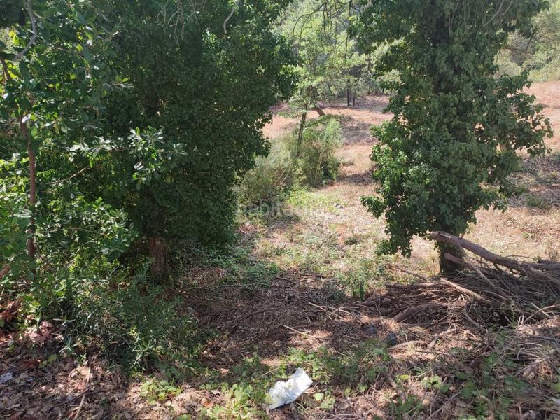 Foto c2103615-7aac-4ebc-8ea2-640b1ee14ab7. Terreny residencial a casanovas 111 a Caldes de Malavella