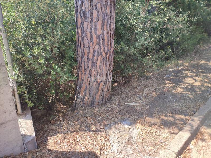 Foto e445e0bf-302f-4814-8ccb-6abd6badad76. Terreny residencial a casanovas 111 a Caldes de Malavella