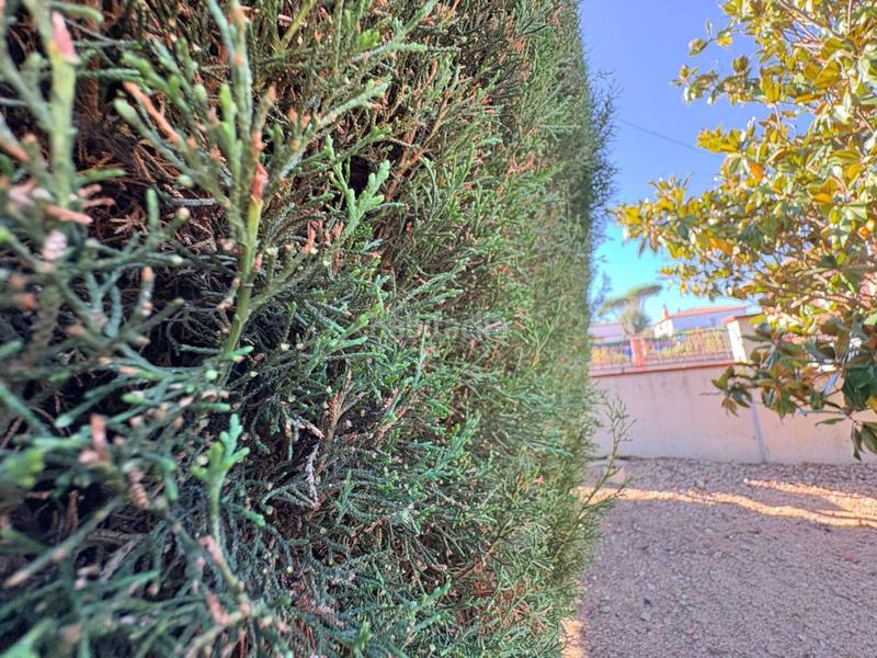 Foto 144a4b31-2843-4e29-bb40-6d5ddc9f3cbd. Terreno residenziale in Caldes de Malavella