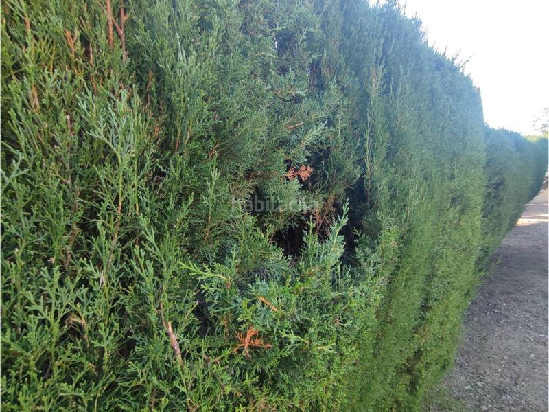 Foto 20aa744c-8bef-4d01-b5ad-748509482cbc. Terreno residenziale in Caldes de Malavella