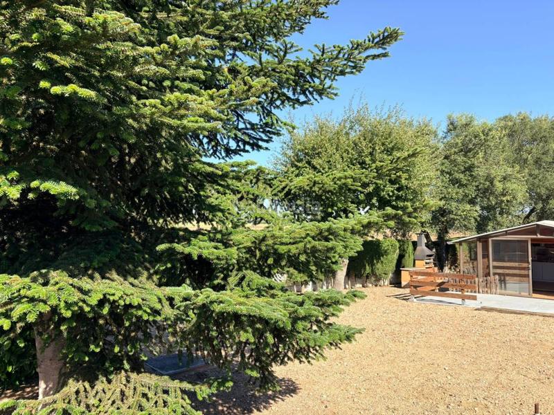 Foto d00e02eb-0d3f-4414-bda7-c4bdd978f702. Terreno residenziale in Caldes de Malavella