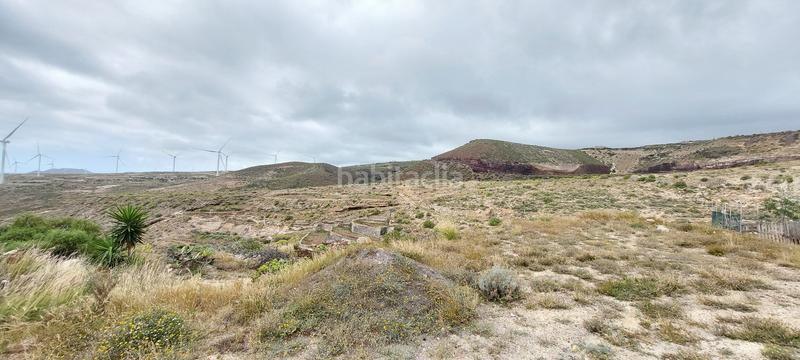 Foto 567e6ad8-1382-4b22-a6f3-0d954c060eeb. Finca rústica en vial camino 97b en Fasnia