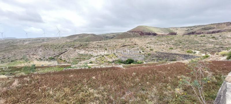 Foto 7d31e7ba-1aba-4f54-8497-36dd3fa24207. Finca rústica en vial camino 97b en Fasnia