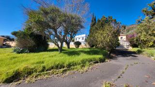 Terreny residencial a Camino el pino 24. Solar con proyecto y licencia