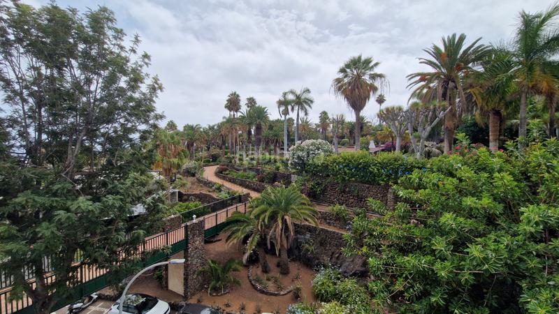 Foto b3e5ef04-135b-489a-a842-be7a606925fc. Location studio dans camino burgado 1 dans Longuera - Toscal Realejos (Los)